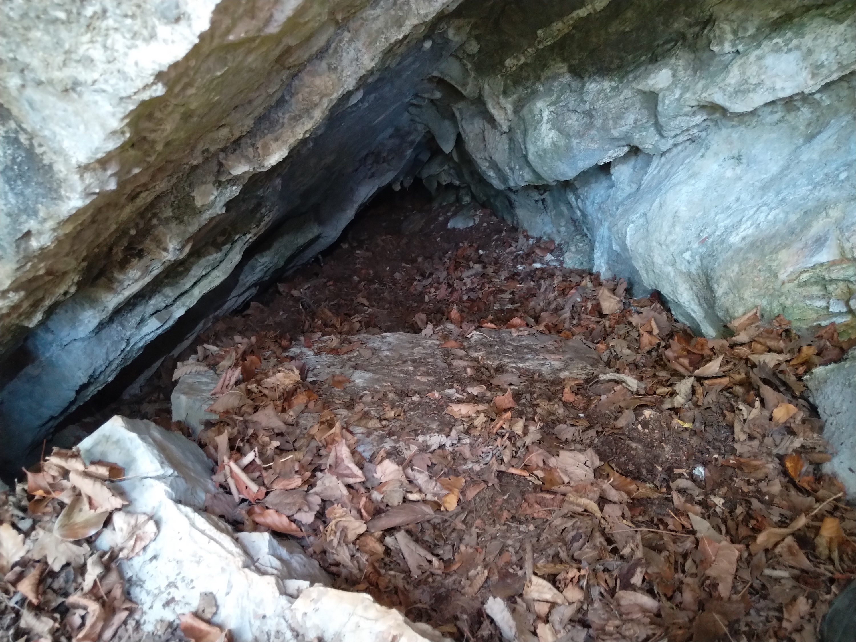 Peștera Nr.12 din Valea Toplița - Image 2